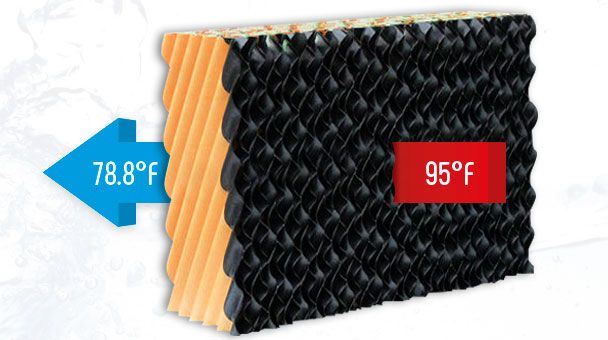 Evaporative Cooling Pad with European Technology